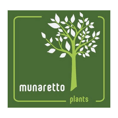 munaretto